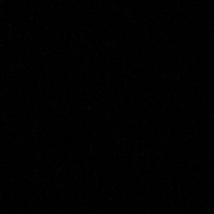 Meet your Posher, Trent